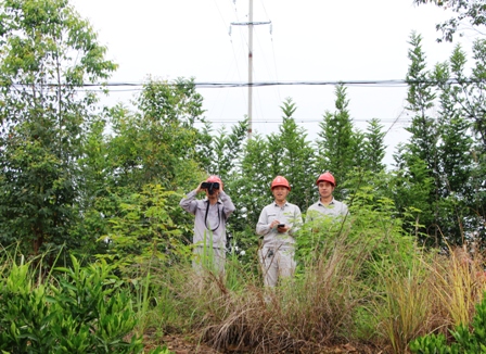 國網(wǎng)江永縣供電公司:負(fù)責(zé)人帶隊巡線，精施策護網(wǎng)保電