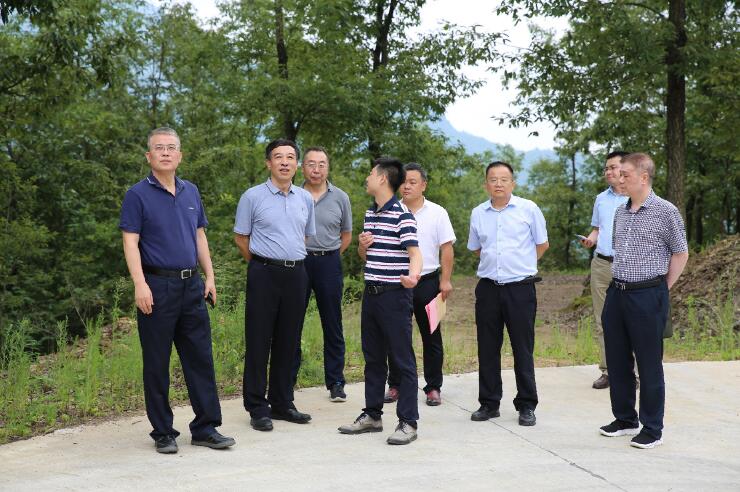 中國能建總經(jīng)理、黨委副書記孫洪水一行赴陜西鎮(zhèn)巴縣調(diào)研定點(diǎn)扶貧工作