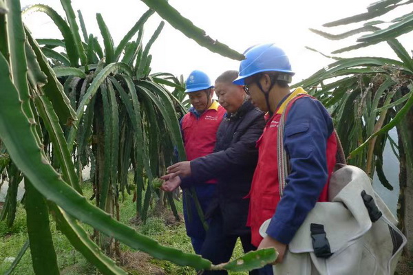國(guó)網(wǎng)寧?？h供電公司：“電力紅馬甲”護(hù)航，退役軍人鄉(xiāng)村創(chuàng)業(yè)“紅如火”