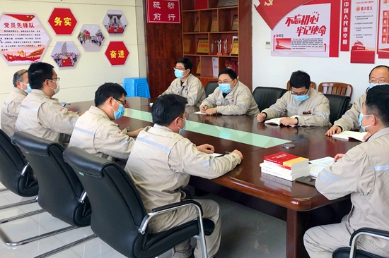 大唐淮北發(fā)電廠開展主題黨日深推“學(xué)史明責(zé)守紀力行”