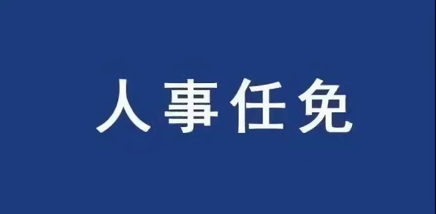 重磅！張智剛?cè)螄译娋W(wǎng)總經(jīng)理、黨組副書記，韓君出任三峽集團總經(jīng)理
