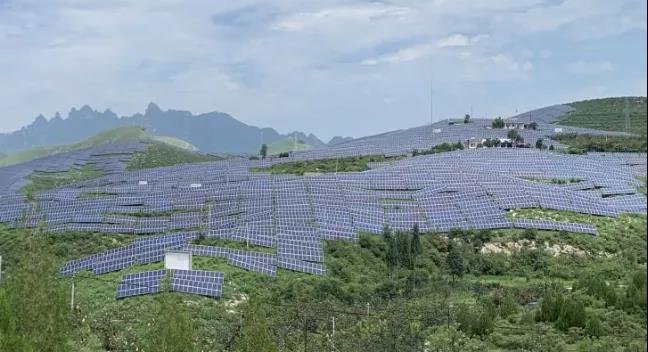 少長(zhǎng)一棵草，多發(fā)一度電，助力碳中和