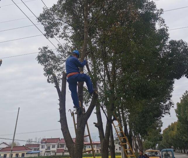 國網(wǎng)城固縣供電公司積極開展春季樹障清理工作，打通線路安全通道  　　中國電力網(wǎng)訊  陽春三月，草長鶯飛，又到了樹竹快速生長的季節(jié)，茂密的樹木包裹10千伏及0.4千伏導線，“線樹”矛盾愈發(fā)嚴重，此時也正