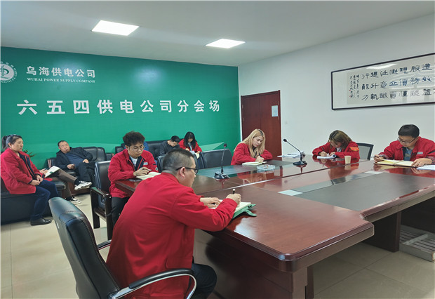 六五四供電公司：乘標(biāo)準(zhǔn)化建設(shè)之風(fēng)，保客戶側(cè)規(guī)范用電