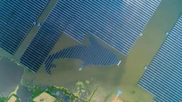 泗洪1000MW光伏領跑者項目被勒令拆除整改！