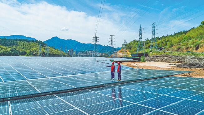 浙江慶元縣：小香菇撐起慶元大產(chǎn)業(yè)