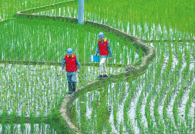 國(guó)家電網(wǎng)公司：全力以赴做好抗疫保供電，持續(xù)優(yōu)化電力營(yíng)商環(huán)境