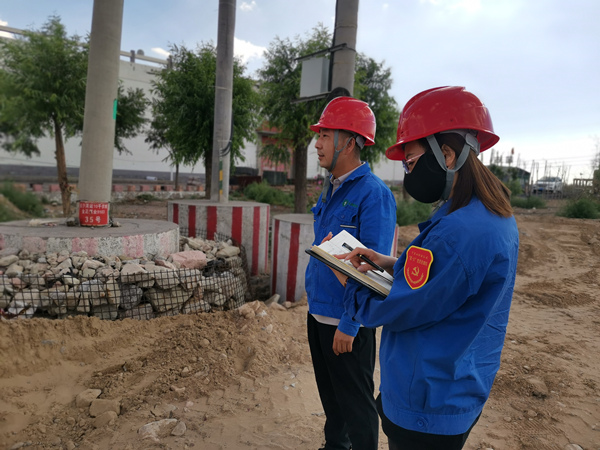 烏海市千里山供電分公司開(kāi)展“擔(dān)使命，展作為，黨員巡線當(dāng)先鋒”主題黨日