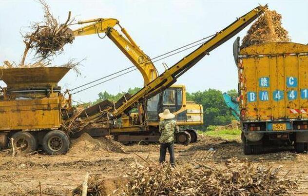 海南省?？诙嗯e措推進(jìn)秸稈等農(nóng)林廢棄物綜合利用