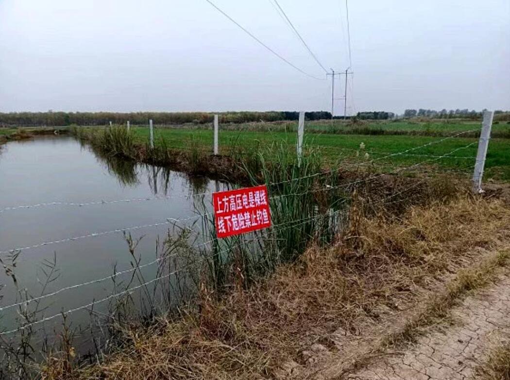 國(guó)網(wǎng)濟(jì)寧供電公司治理垂釣隱患，保電網(wǎng)安全運(yùn)行