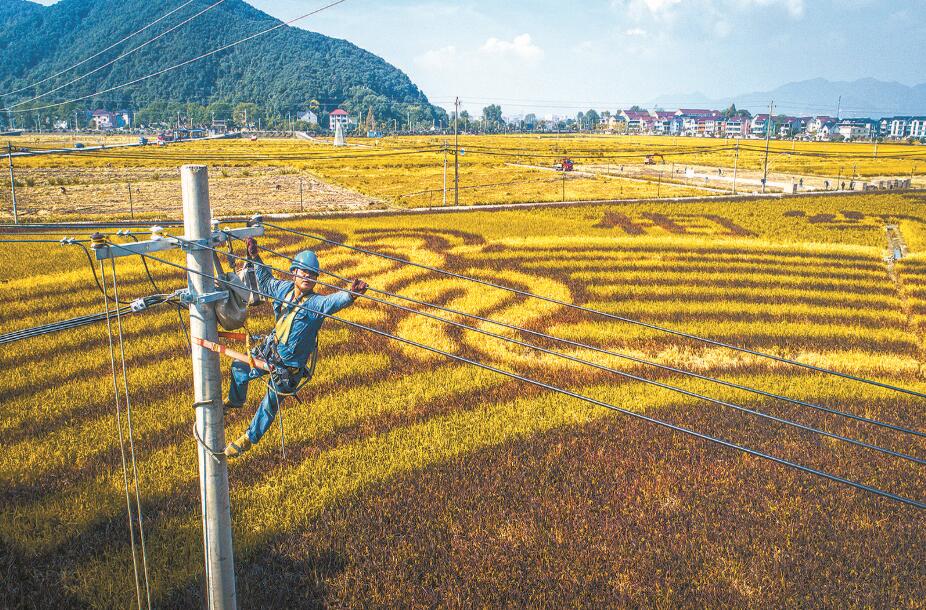 杭州富陽區(qū)供電公司改造升級(jí)農(nóng)網(wǎng)，服務(wù)農(nóng)業(yè)生產(chǎn)電氣化