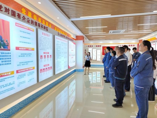 廣西田陽供電局和江安集團聯(lián)合開展黨建培訓交流