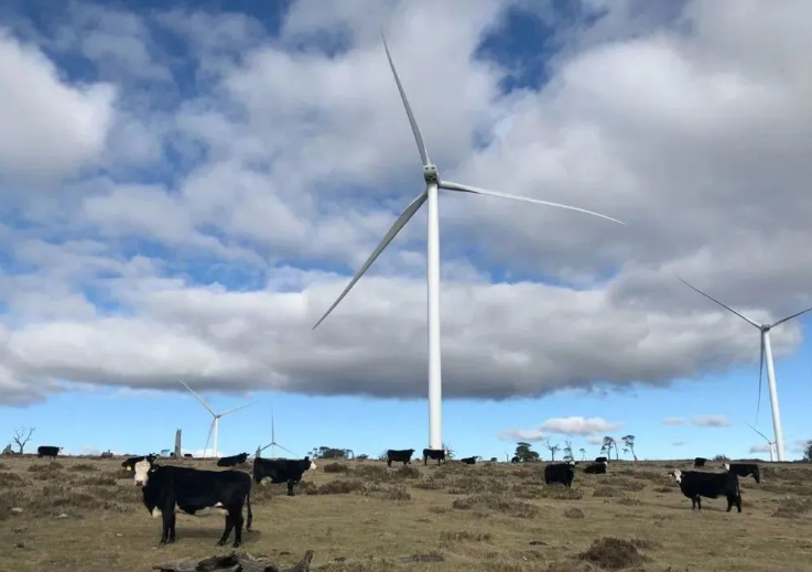 牧牛山風電項目單月發(fā)電量創(chuàng)新高