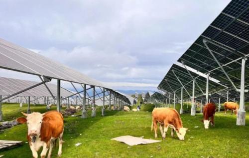 三峽集團(tuán)白溝林200兆瓦光伏項目順利實(shí)現(xiàn)并網(wǎng)發(fā)電