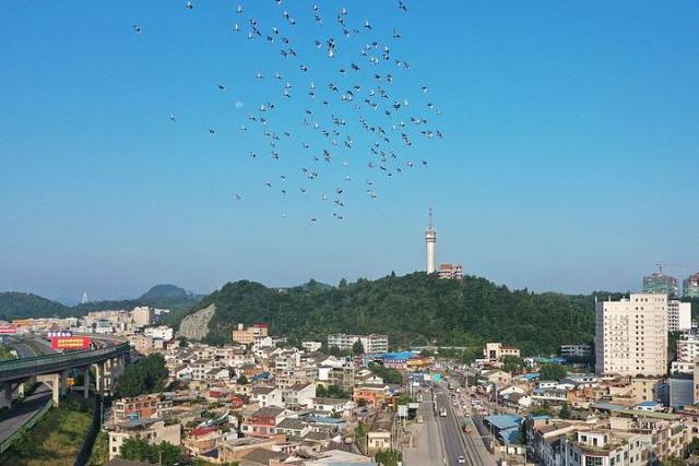 日“吞”垃圾500噸，年“吐”電能超億度!清鎮(zhèn)市首個(gè)生活垃圾焚燒發(fā)電項(xiàng)目并網(wǎng)發(fā)電