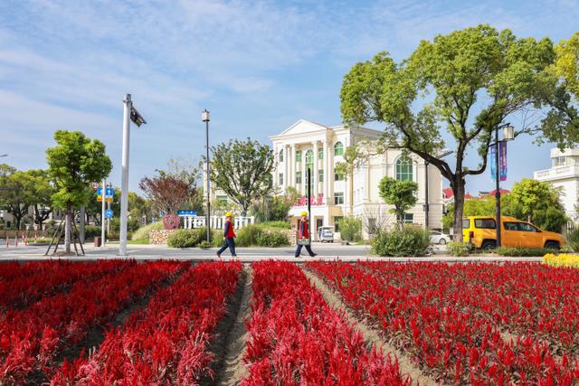 “電靚”和美鄉(xiāng)村，過去20年，杭州電力做了什么