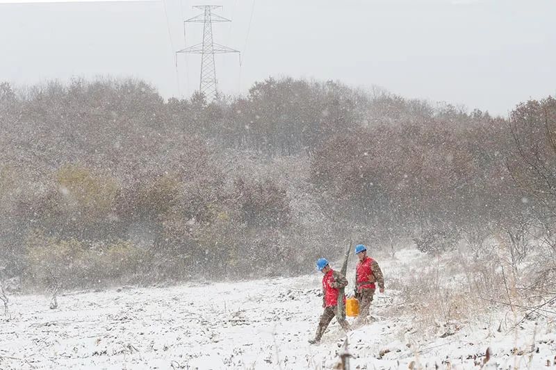 國(guó)家電網(wǎng)全力應(yīng)對(duì)寒潮，保障電力可靠供應(yīng)