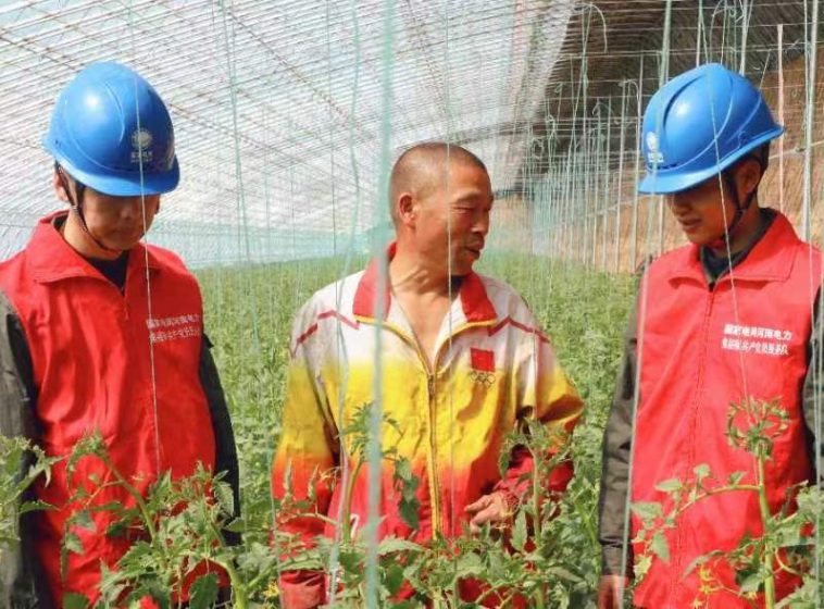 國網(wǎng)遂平縣供電公司春風拂綠野 電力護春耕