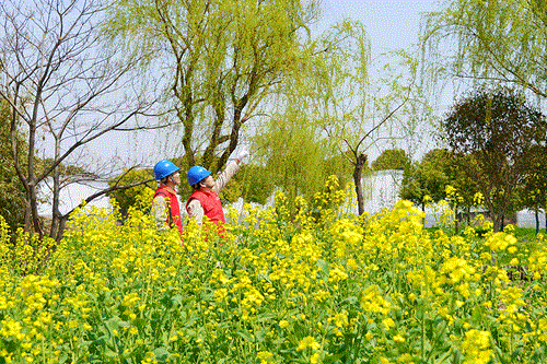 國(guó)網(wǎng)太倉(cāng)市供電公司：電力賦能農(nóng)文旅，五一出游“零碳”行