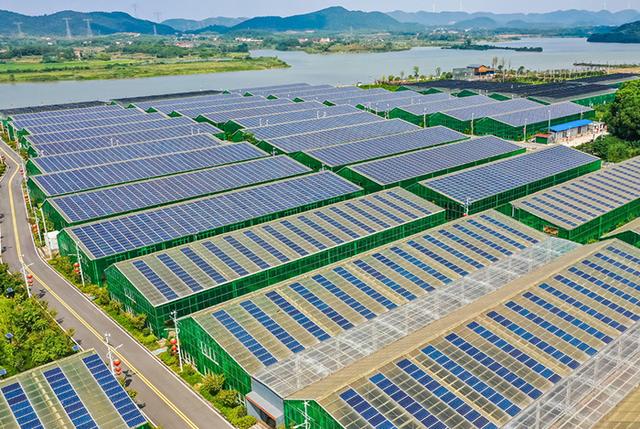 運鴻集團攜手光伏清潔能源，開啟綠色產業(yè)新篇章