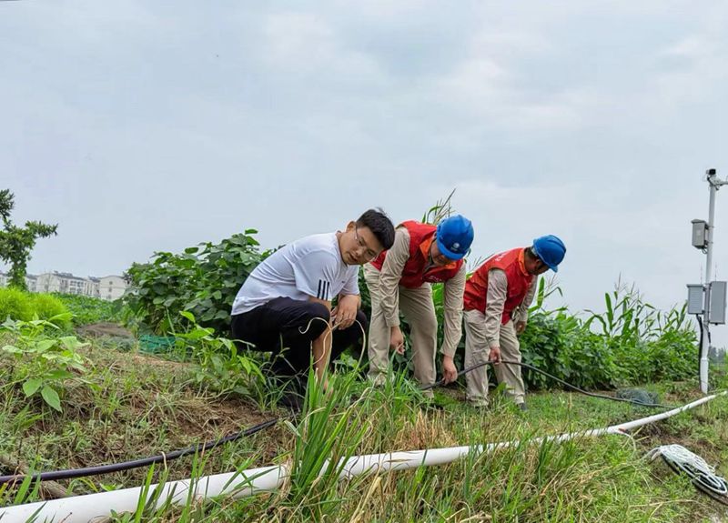 國網(wǎng)江蘇電力睢寧縣供電公司:電力護(hù)航不誤農(nóng)時(shí)