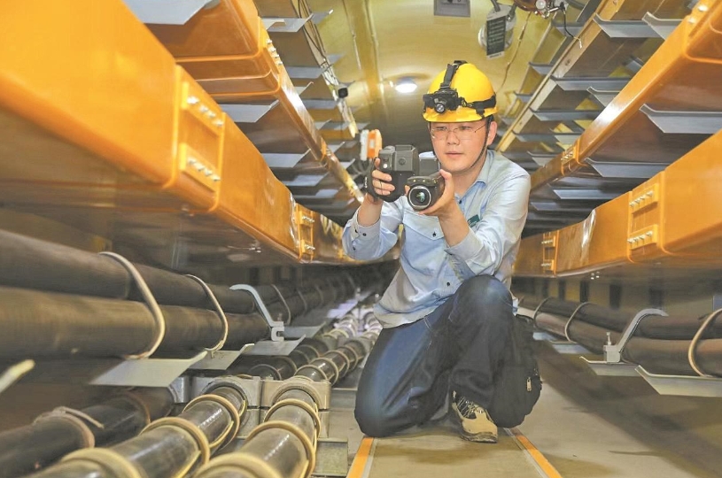 董力文：向下扎根，向上生長