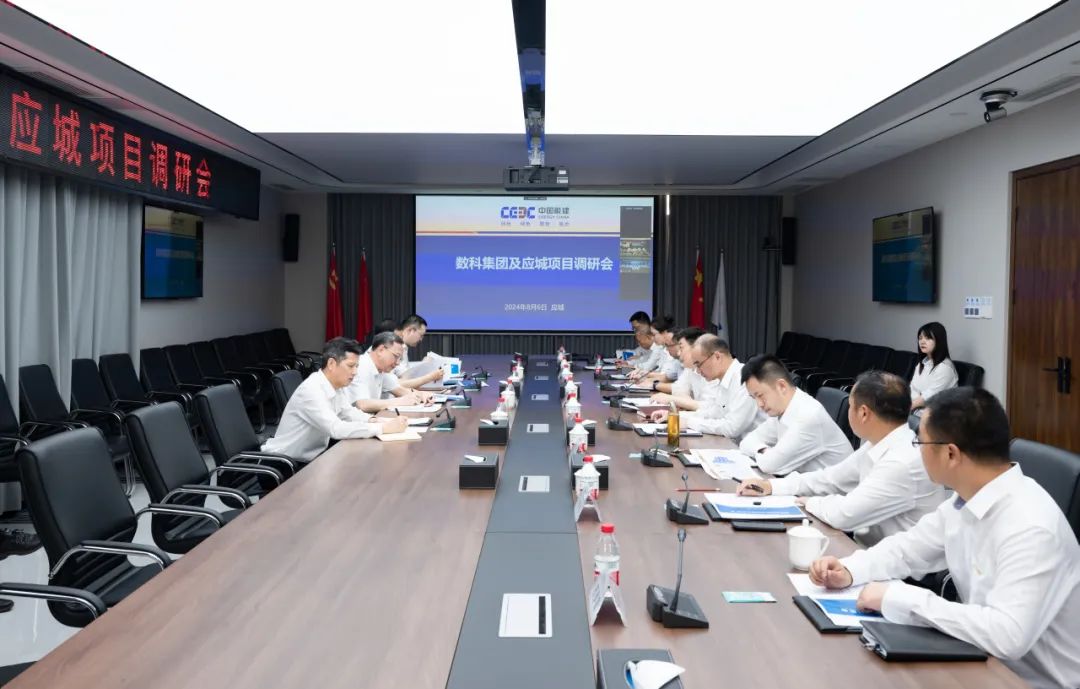 中國能建黨委副書記、總經(jīng)理倪真調(diào)研湖北應(yīng)城300兆瓦壓氣儲能項目