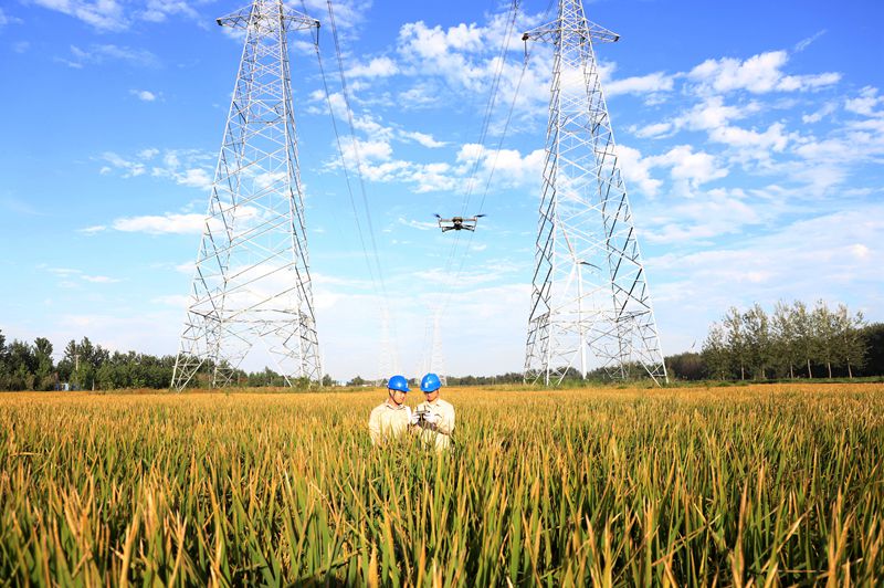 國(guó)網(wǎng)江蘇電力睢寧縣供電公司:無(wú)人機(jī)巡檢 筑牢電網(wǎng)安全