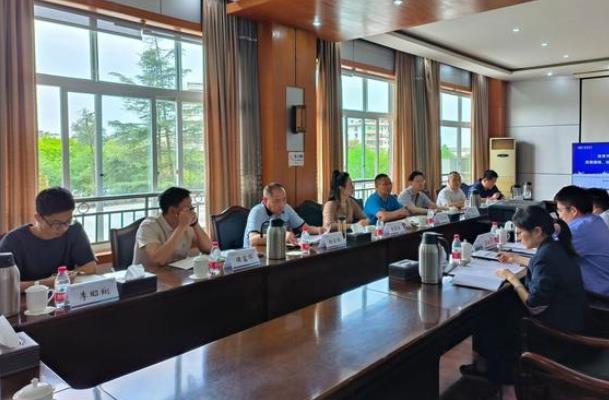 “氫”裝上陣，自貢市加快推動氫能全產(chǎn)業(yè)鏈發(fā)展