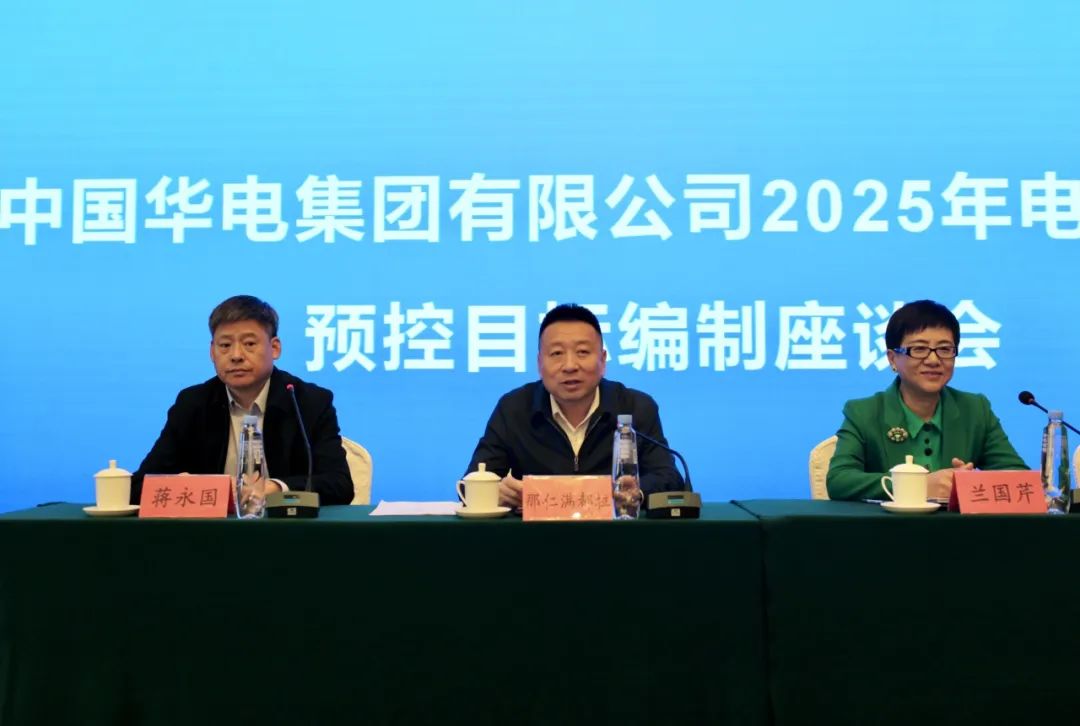 華能集團(tuán)2025年電、熱量預(yù)控目標(biāo)編制座談會(huì)在呼和浩特召開