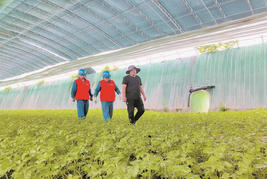 寧夏賀蘭縣：賀蘭山下，稻香魚肥