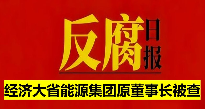 經濟大省能源集團原董事長被查！